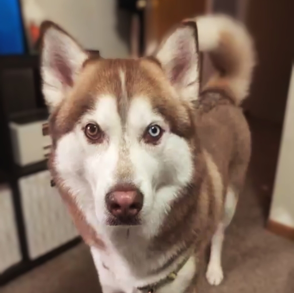 Meet your Posher, Jennifer - Picture 3 of 4